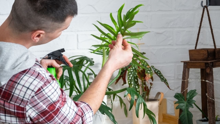 Kırklareli’nde Üreticilere Bitki Koruma Eğitimi | KIRKLARELİ